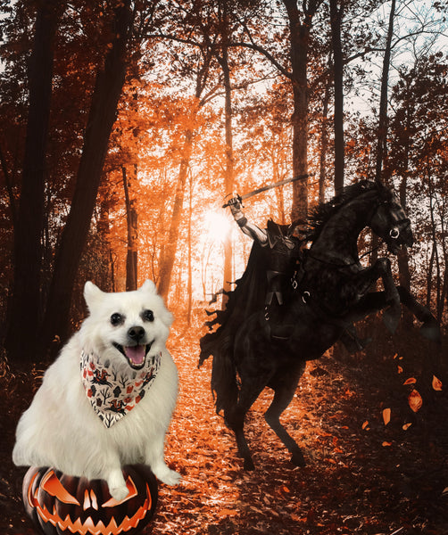 Headless Horseman Dog Bandana