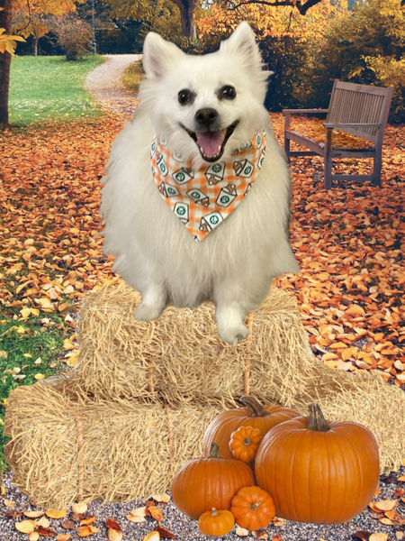 Puppuchino Dog Bandana