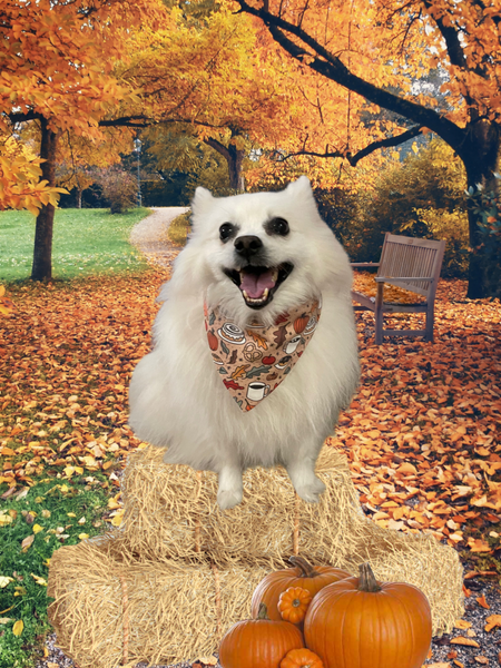 Fall Snackies Dog Bandana