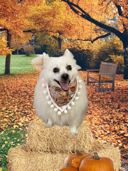 Kiki Kouture Fall Snackies Dog Bandana