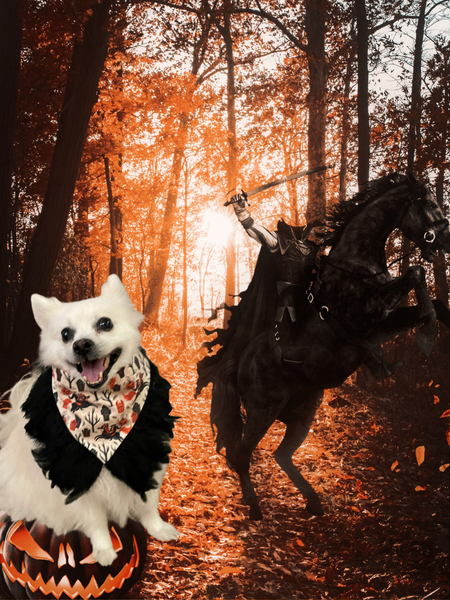 Kiki Kouture: Headless Horseman Dog Bandana