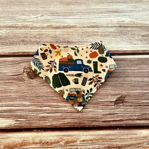Fall Truck n'things  Dog Bandana