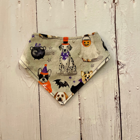 Trick or Treat Dog Bandana