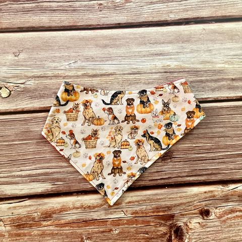 Fall Day Out Dog Bandana