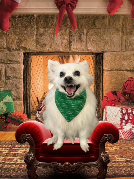 Naughty, Nice , I Tried Dog  Bandana