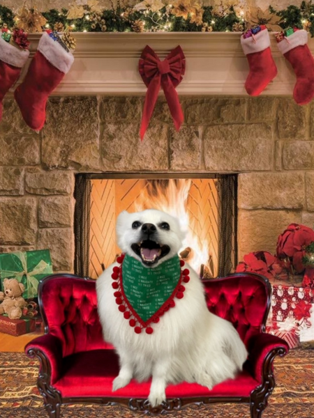 Naughty, Nice , I Tried Dog  Bandana w/trim