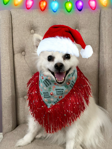Official Cookie Tester Dog Bandana w/trim