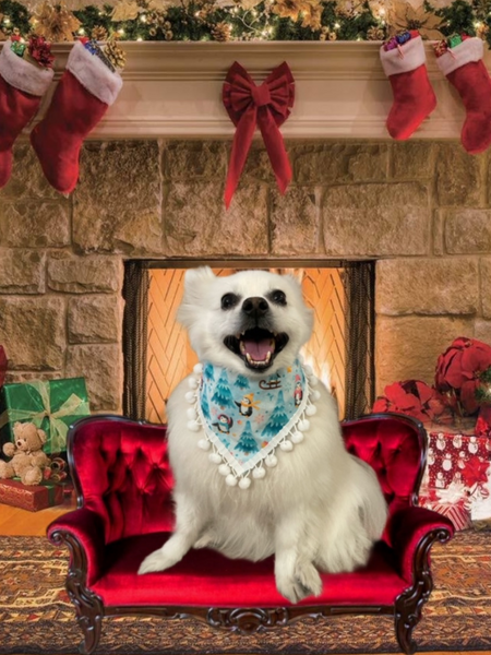 Penguin Friends Dog Bandana w/trim