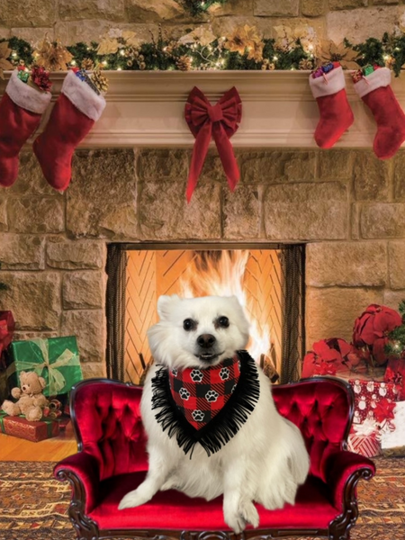 Flannel Paw Print Dog Bandana w/trim