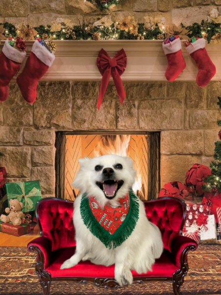 Don't Stop Belivein' Dog Bandana
