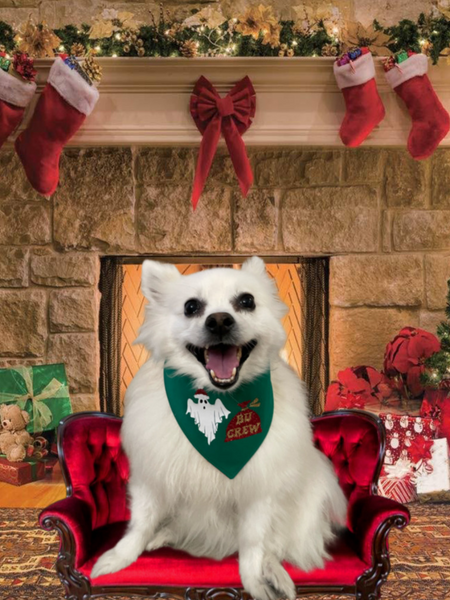 Reversible Bu Crew Holiday Bandana