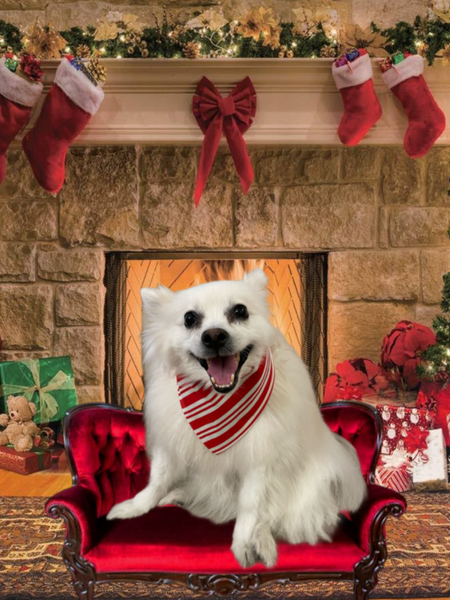 Reversible Bu Crew Holiday Bandana